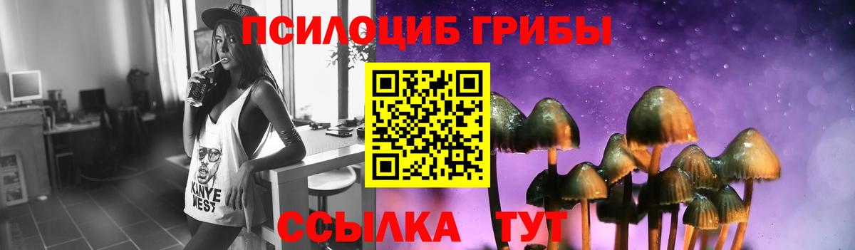 Нововоронеж  Псилоцибиновые грибы Cubensis  Вход с VPN 